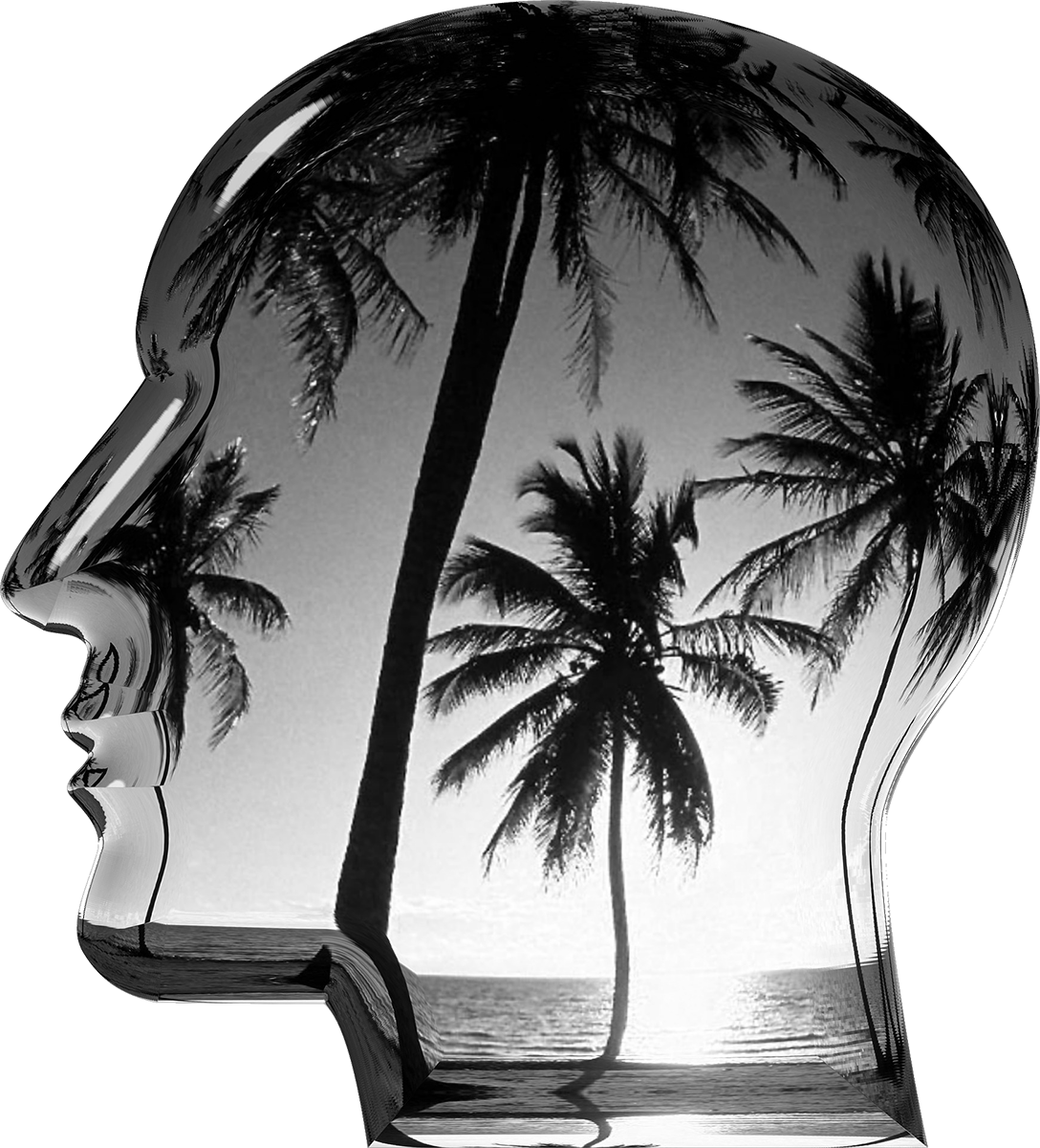 Vibe Noise Mind 2